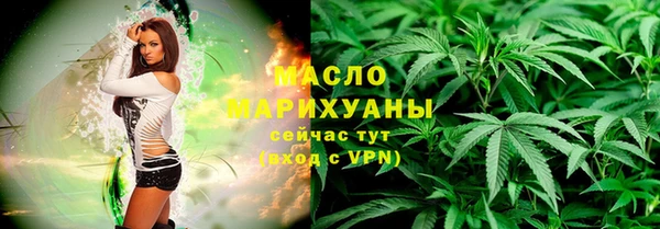 хмурый Арсеньев