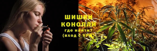 хмурый Арсеньев